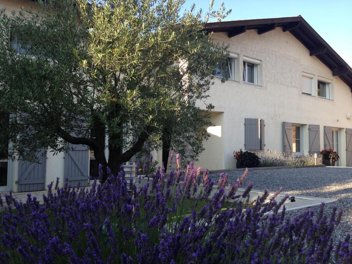Bed and Breakfast Aux Sources D'Hossegor Soorts-Hossegor Esterno foto